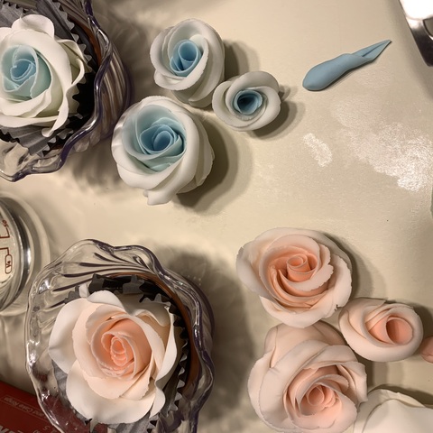 Blue and Pink Roses drying