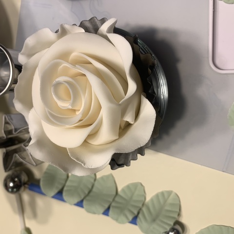 Large white rose and leaves drying