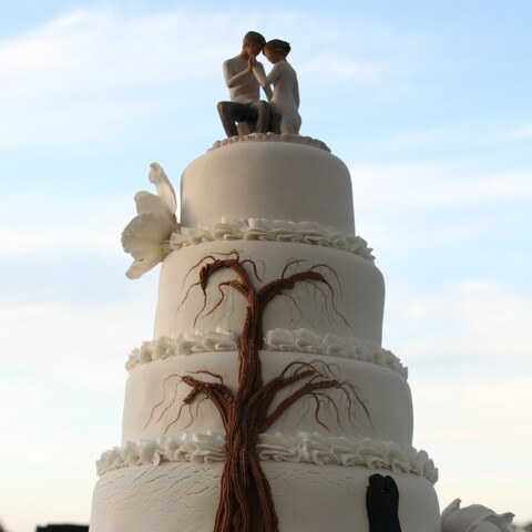 Magnolia Blossom Cake front