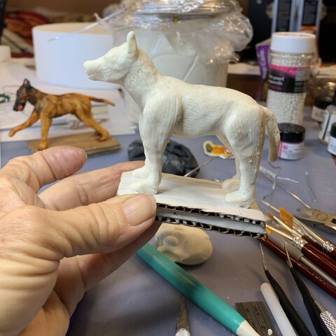 dog not painted