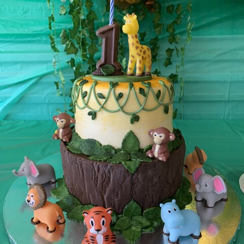 Jungle Cake front