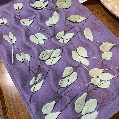 Eucalyptus Leaves