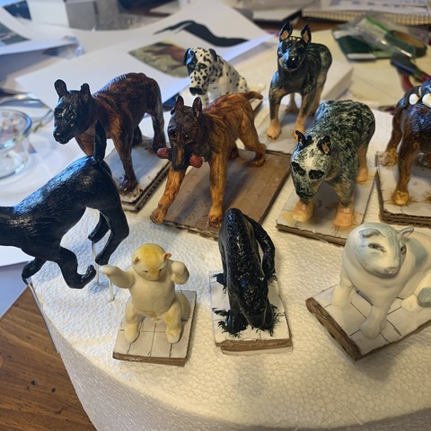 dogs and cats