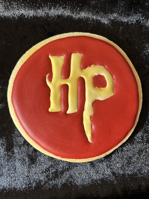 Comic Con Harry Potter finished