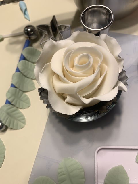 Large white rose and leaves drying