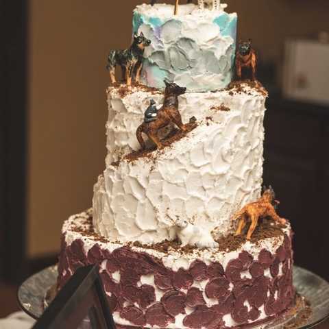 Fur Babies cake
