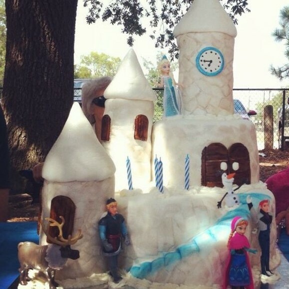 Frozen Cake